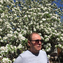 ���� ������, ���������, 67 ��� - ��������� 8 ��� 2021