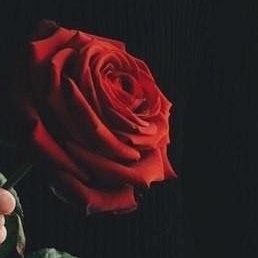 Gena06, ������, 24 ����