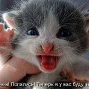 ���� ���������, ���������� �����, 60 ��� - ��������� 24 ���� 2021 � ������ ���� ����������