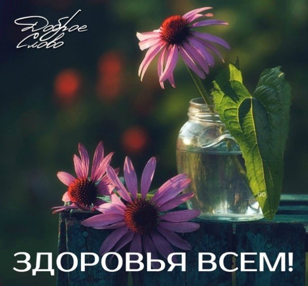   ,    . - 16  2021  10:05