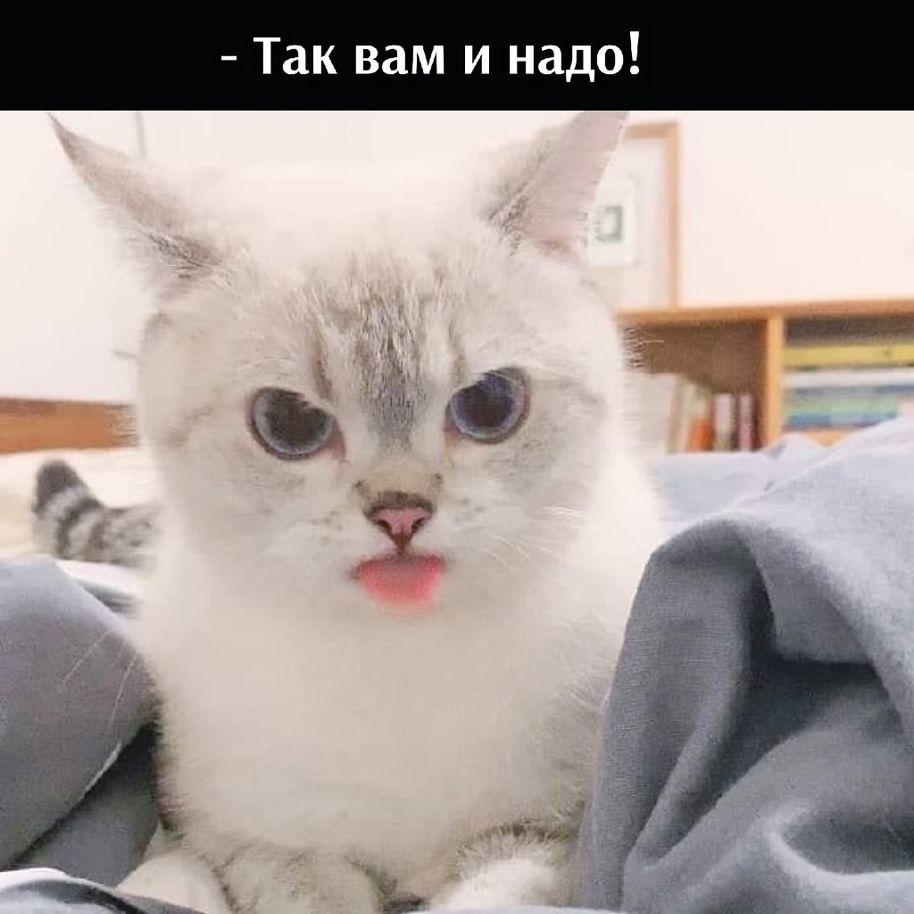       - 19  2021  13:36 - 3