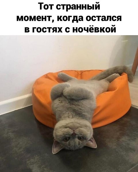 ����, ��� �� ���������� ����� �������� � ����� ���������! ������� ����������