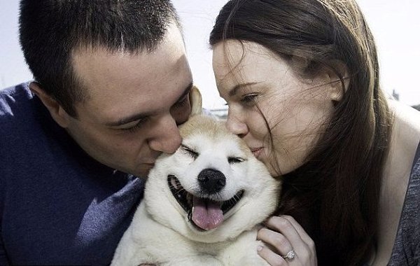 Знакомьтесь, это Корица — самая счастливая собака в мире