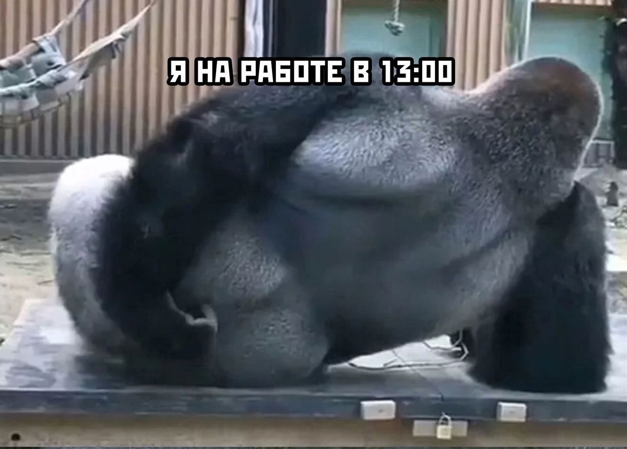     - 2