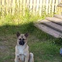 ���� �����, ��������, 55 ��� - ��������� 6 ���� 2021 � ������ ������ ��������