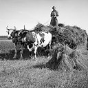 ���� Mars, ����, 55 ��� - ��������� 1 ���� 2021 � ������ ���� ����������