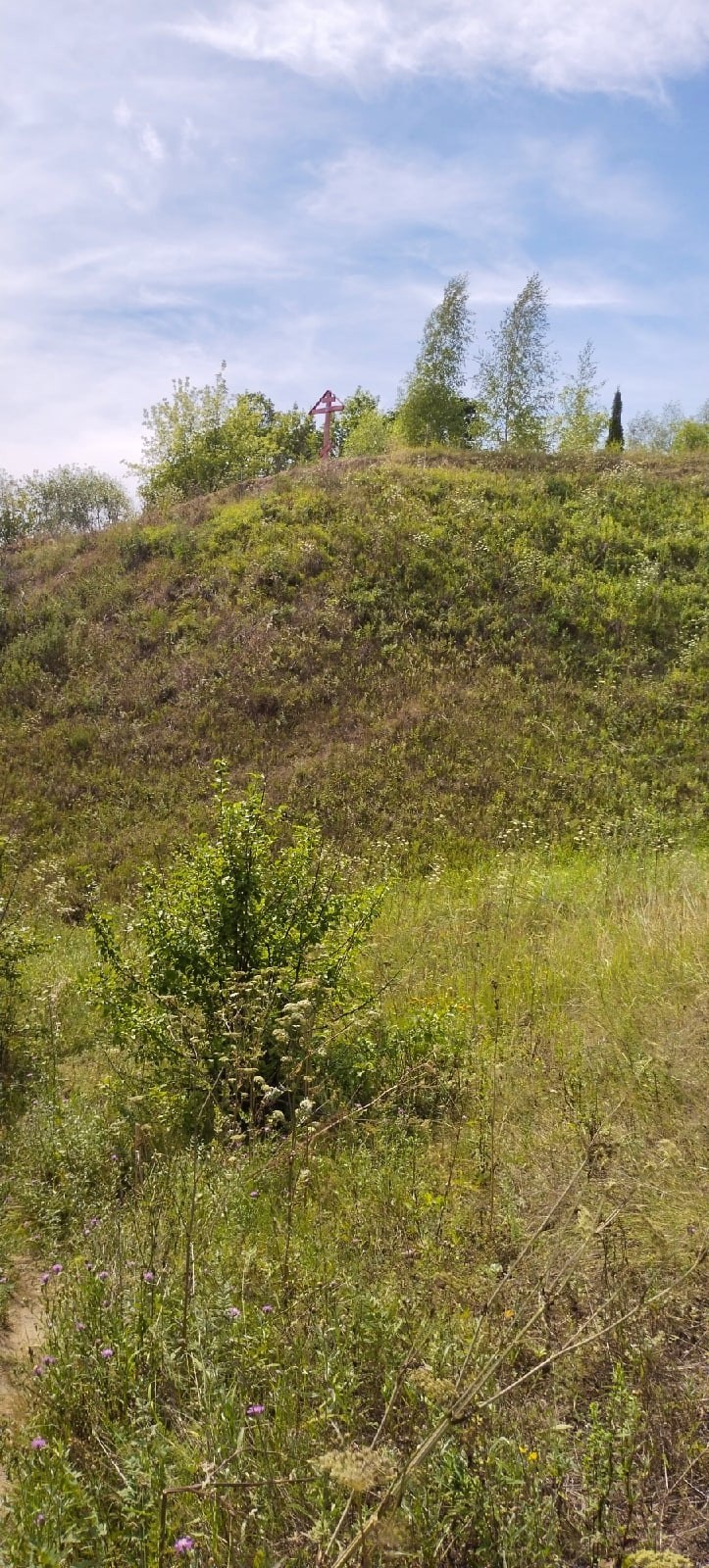      -.      - .  ... - 6