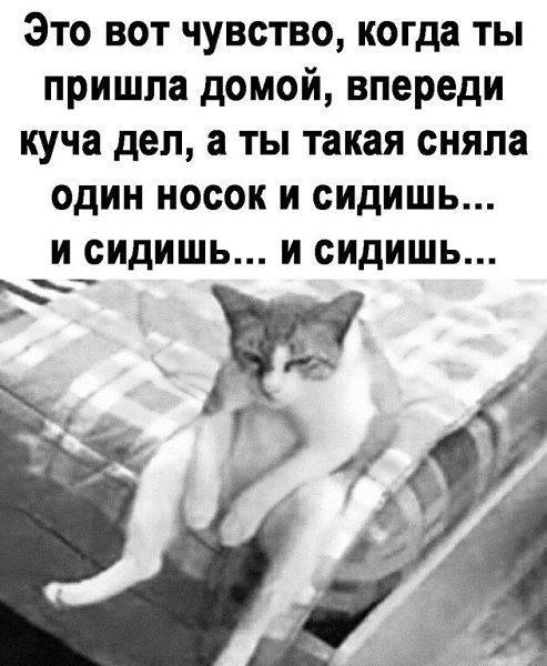 ***Victoria Viktorovna*** - 13  2021  15:59