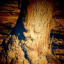 ���� �����, �����, 56 ��� - ��������� 24 ������� 2021 � ������ ���� ����������