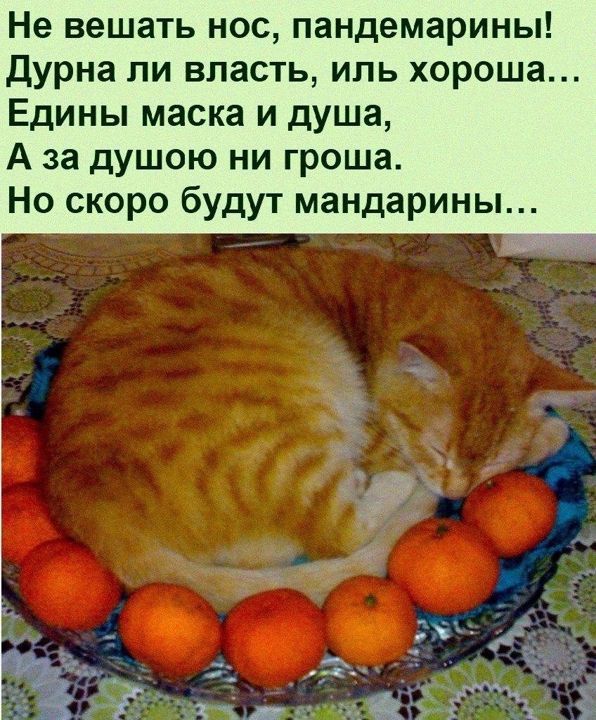   :D - 6  2021  08:17