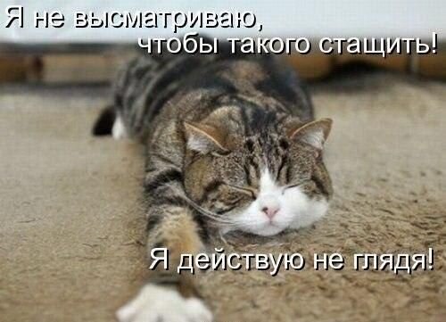    - 18  2021  07:31