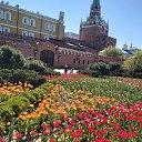 ���� ���������, ���������������, 61 ��� - ��������� 17 ��� 2021 � ������ �������