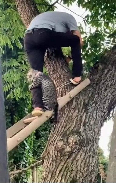     ???