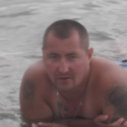 �����, �����������, 44 ����