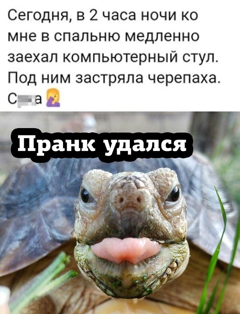 ������� � ���, ��� �������� ��������� ������� ������� ����.������� ����������