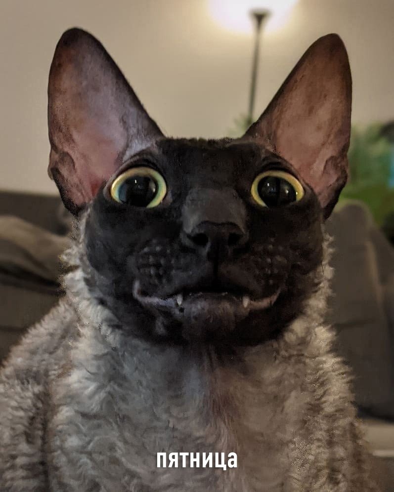  : - 5