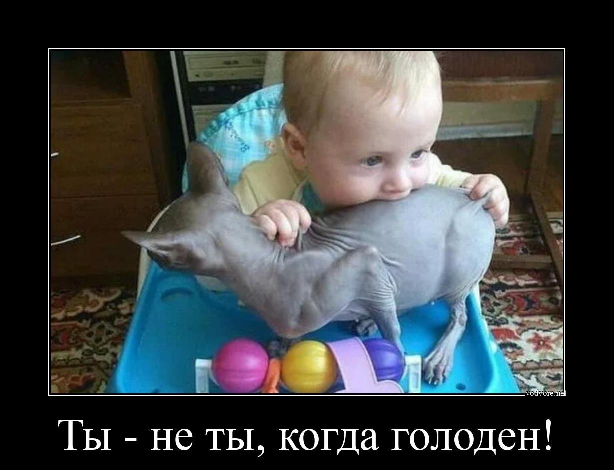 ������! ����� �� ������� ��������� �������� ��������� ������: "� �� ��� - � ��!" � ... - 5
