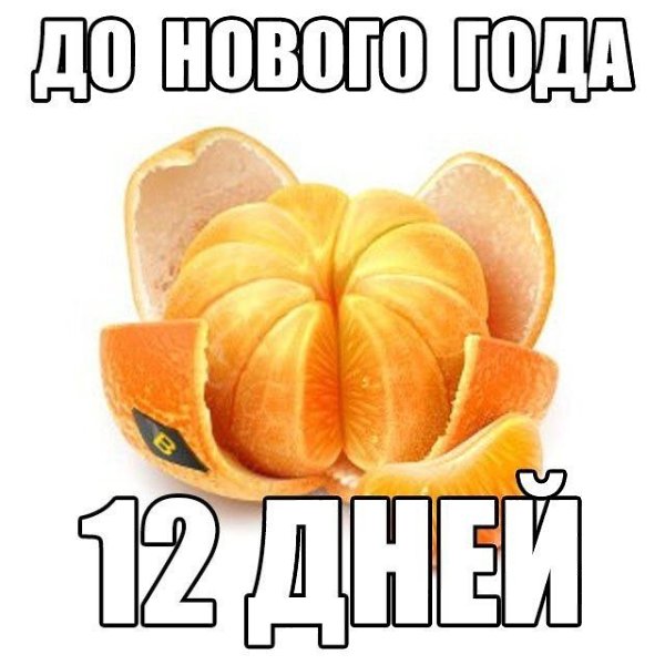 ������ ������� - 19 ������� 2021 � 07:25