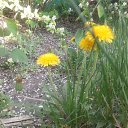 ���� ������, ����, 30 ��� - ��������� 17 ��� 2021 � ������ ���� ����������