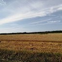 ���� �����, ������, 43 ���� - ��������� 27 ������� 2021 � ������ ���� ����������