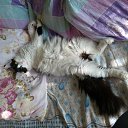 ���� Sergey, ����-�����������, 49 ��� - ��������� 21 ���� 2021 � ������ ���� ����������
