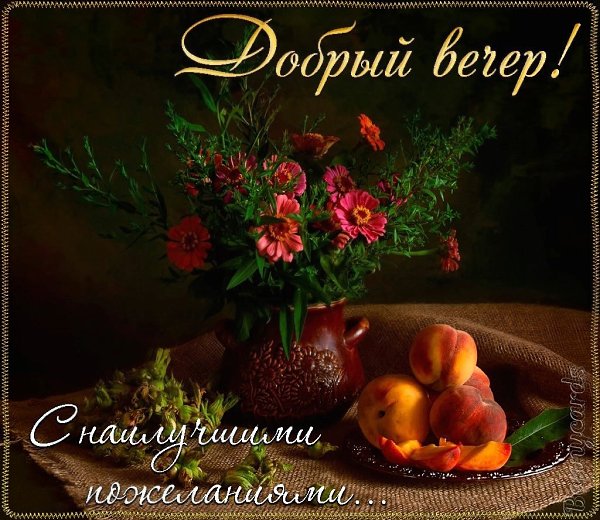   ,    . - 24  2021  20:04 - 3