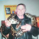  Petr, -, 64  -  11  2021    