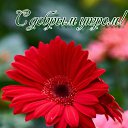 ���� ����, ������ �������� - ��������� 16 ������� 2021