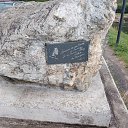 ���� ����, ������������, 43 ���� - ��������� 22 ������� 2021 � ������ ���� ����������