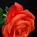 ���� �������, �������� - ��������� 22 ������ 2022 � ������ ������ ��������