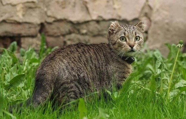    ,     .    3.5  ... - 3