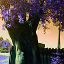 ���� �����, �����, 56 ��� - ��������� 24 ������� 2021 � ������ ���� ����������