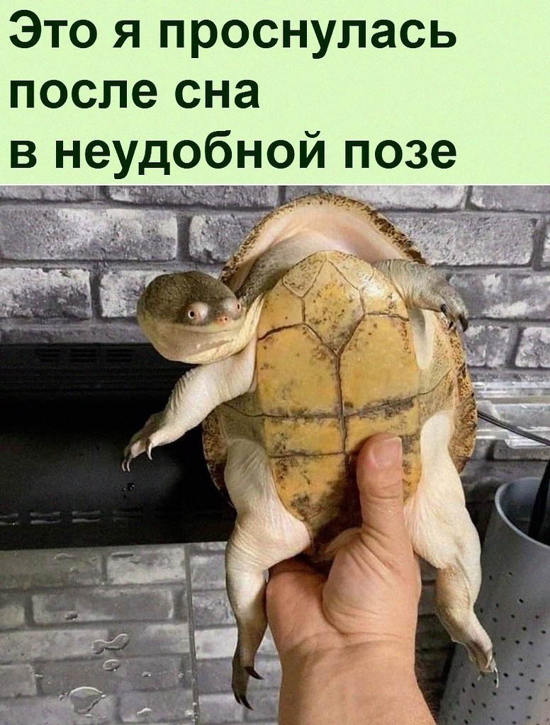   :D - 22  2021  10:45