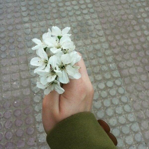 — люди, которые часто прощают и долго терпят, обычно уходят. навсегда..