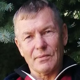 ���������, �������, 66 ���