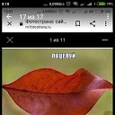 ���� ����, ��������, 59 ��� - ��������� 1 �������� 2021 � ������ ���� ����������