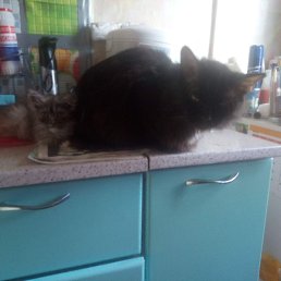 Akeksandr, ������������, 59 ���