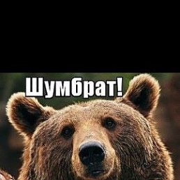 ������, �������, 49 ���