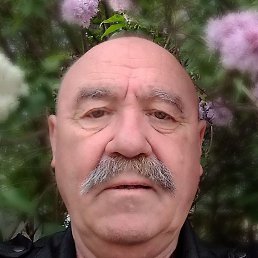 ������, �����, 72 ����