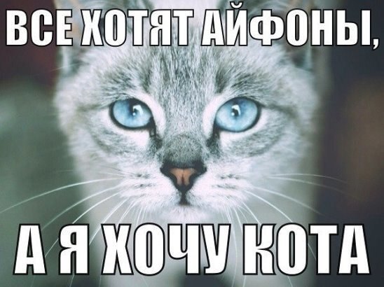    - 25  2021  20:31