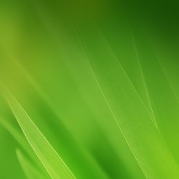 ���� ��������, �����������, 53 ���� - ��������� 27 ���� 2021