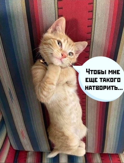 ��� ���� � ����� �� �� - 12 ��� 2021 � 21:22