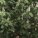 ���� �����, ������ ��������, 51 ��� - ��������� 30 ��� 2021 � ������ ���� ����������