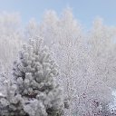 ���� ������, ���������, 51 ��� - ��������� 18 ������ 2022 � ������ ���� ����������