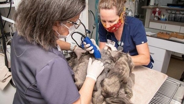 ������������ ������ ����� 1 �� ������ � �������� �����.�.� ��� ������� ����� ��������� �������� - 3