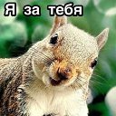 ���� ����, �����, 59 ��� - ��������� 6 ������ 2021 � ������ ���� ����������