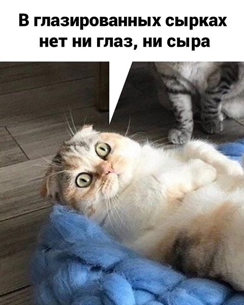 ������� ����� � ��� ���� ����.������� - 3