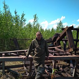 �����, ������, 46 ���