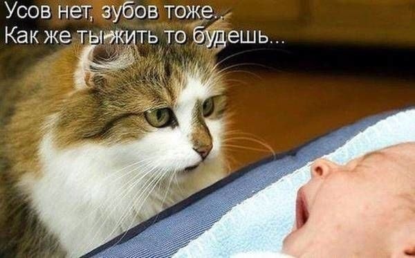    - 5  2021  09:24