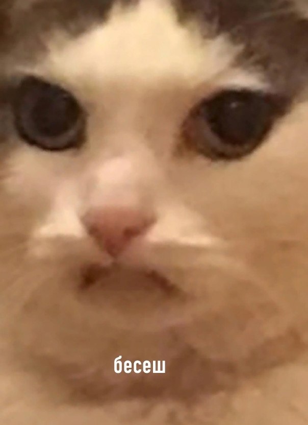   ,      ,     4   - 2